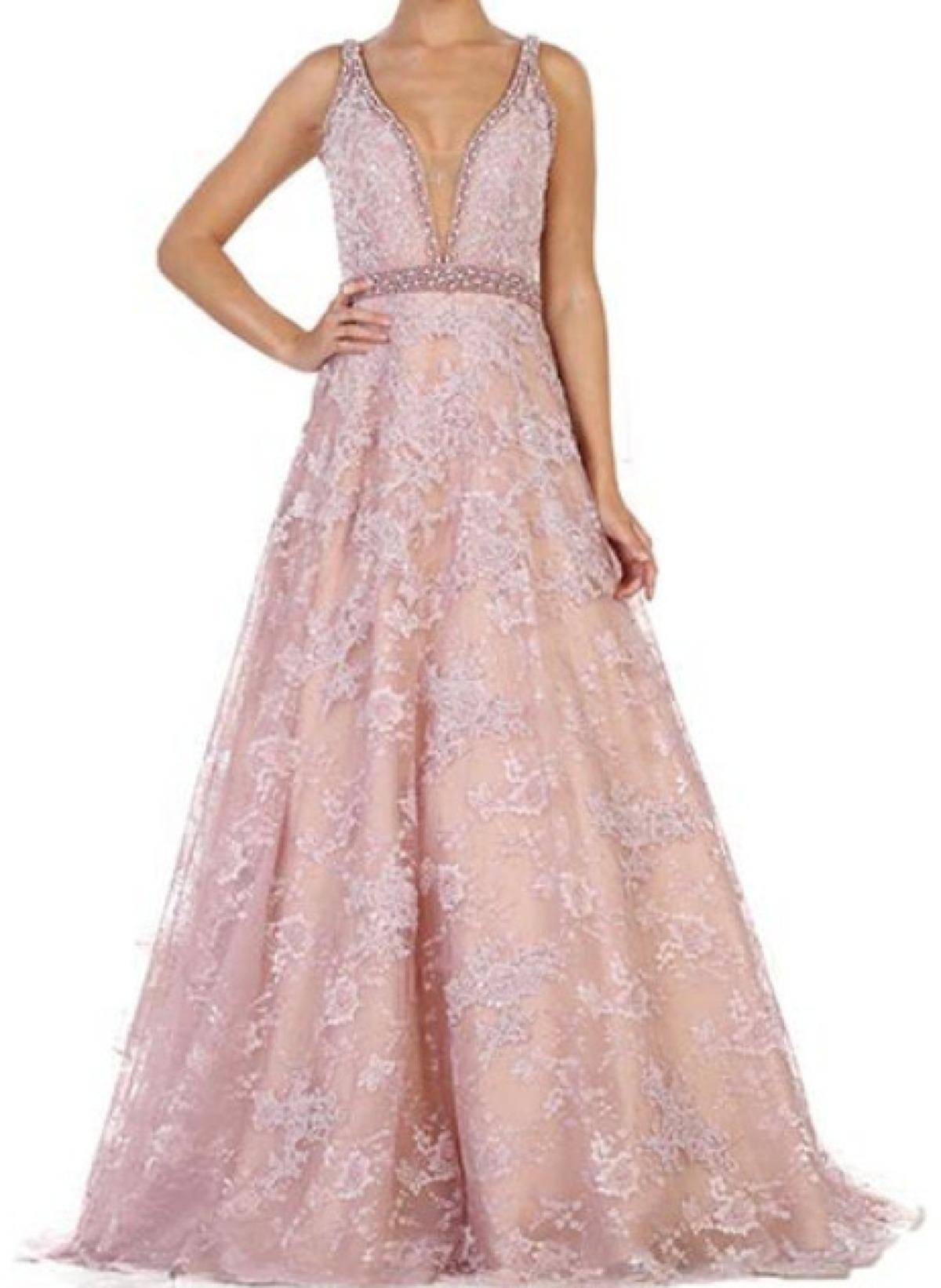 Blush Blossom Lace Ball Gown